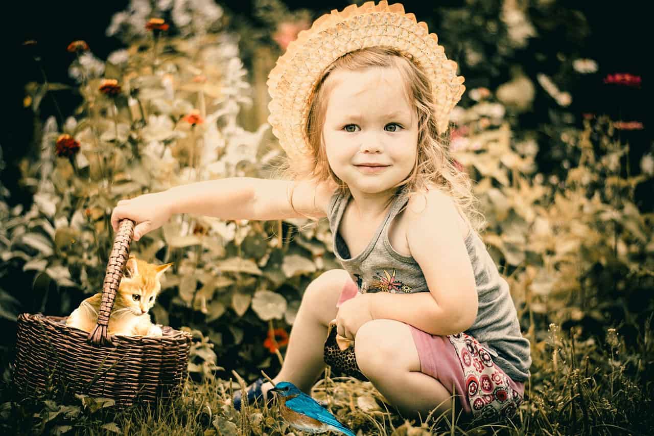 Leistung Kinderfotografie